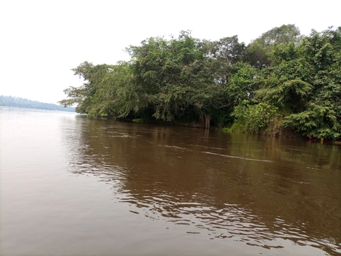 Image de la Rivière kwilu.